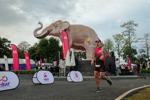 BIB: 
                            <button type="button" onclick="openModal(26528655)" class="btn btn-primary btn-sm float-right btn-popup" data-toggle="modal" data-target=".modal-high-quality">
                        <i class="fas fa-shopping-cart"></i> Add to Cart
                    </button>
                                            <button type="button" onclick="isThisMe(26528655, true)" class="btn btn-success btn-sm float-right btn-popup btn-isme hidden" data-toggle="tooltip" data-placement="bottom" title="นี่คือรูปของคุณใช่ไหม คลิกที่นี่เพื่อเอาเข้าอัลบั้ม">
                        <i class="fas fa-plus"></i> Add to album
                    </button>
                    <button type="button" onclick="isThisMe(26528655, false)" class="btn btn-warning btn-sm float-right btn-popup btn-isnotme hidden">
                        <i class="fas fa-ban"></i> Remove from album
                    </button>